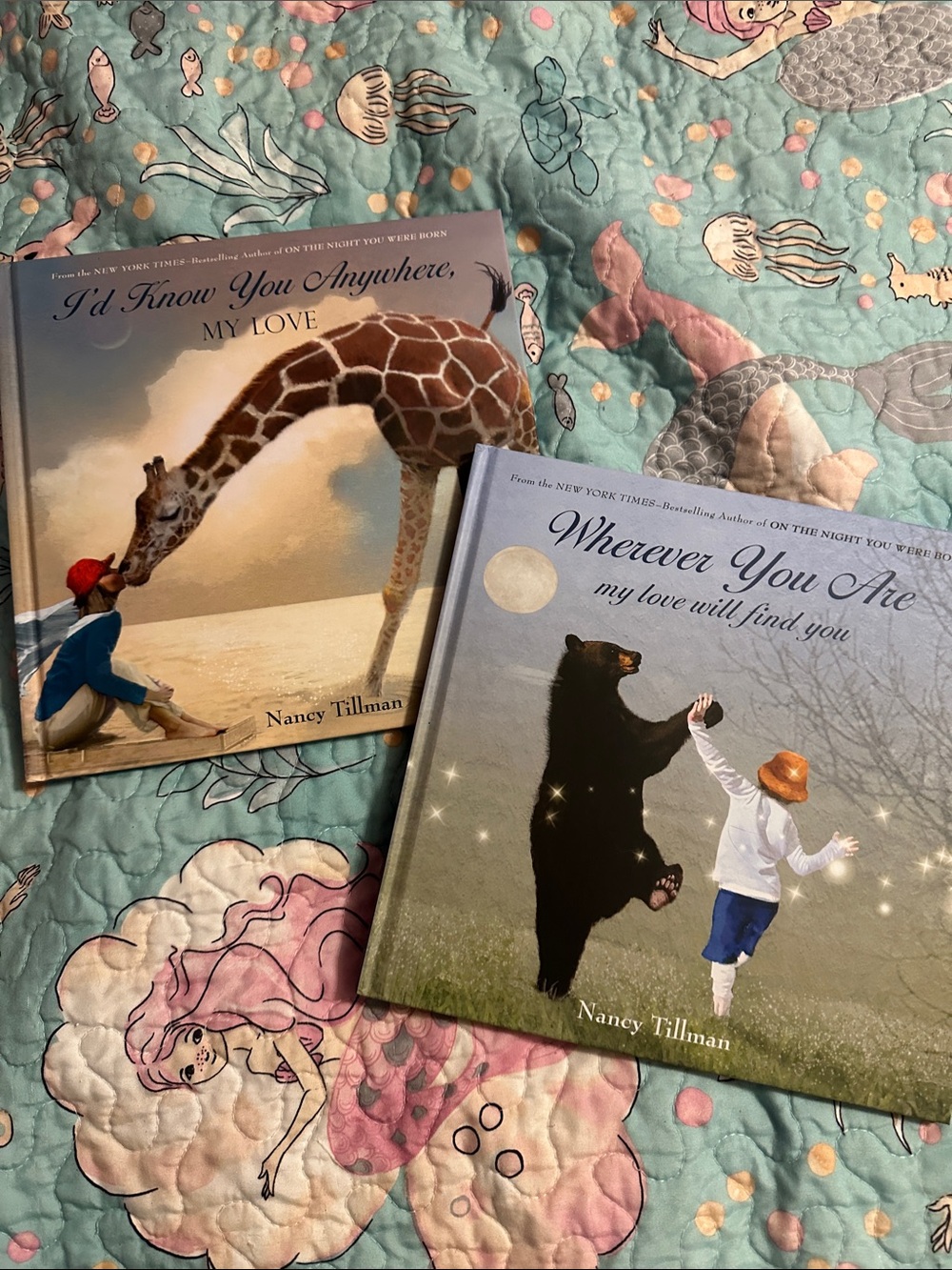 Set of 2 Nancy Tillman Children's Hardcover Books